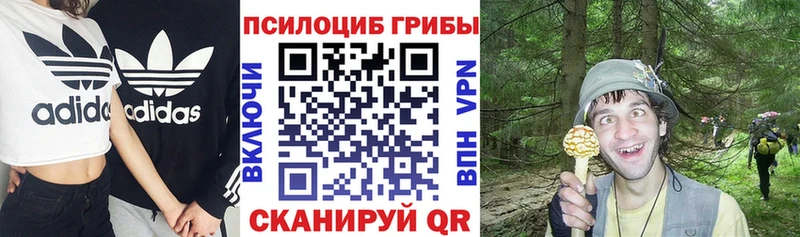 мега зеркало  Армянск  Псилоцибиновые грибы ЛСД 